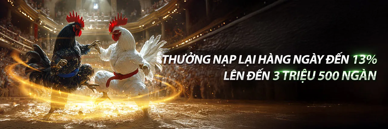 Chương Trình VIP tải 8s97 với ưu đãi độc quyền và trải nghiệm thượng lưu